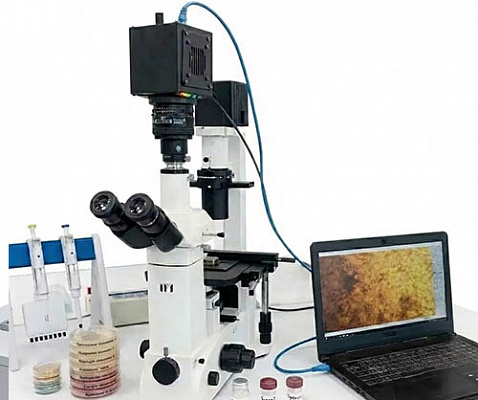 Evercam MicroSpeed